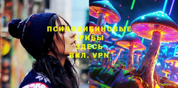 сатива Горнозаводск